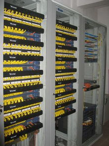 智慧校园一卡通系统集成方案 实现多维信息化管理