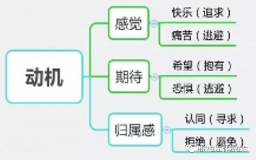 信息系统集成服务 为何用户不买账